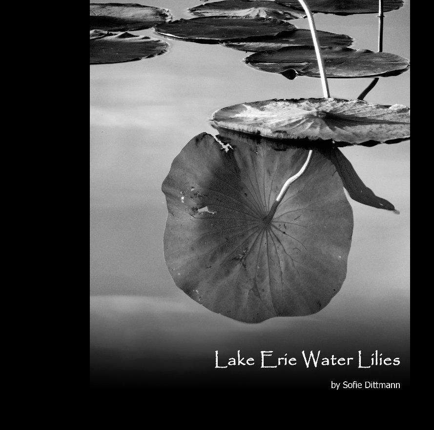 View Lake Erie Water Lilies by Sofie Dittmann