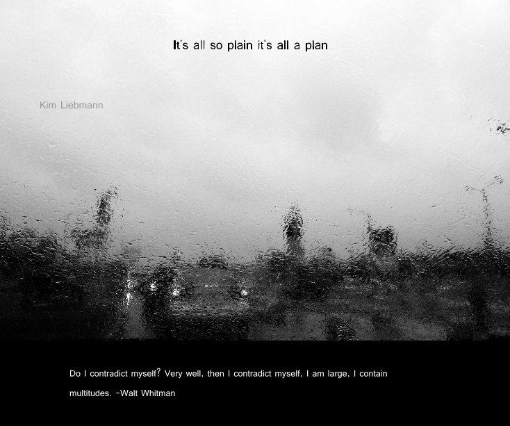 View It's all so plain it's all a plan by Kim Liebmann