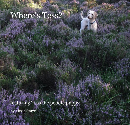 View Where's Tess? by Lizzie Cottrill