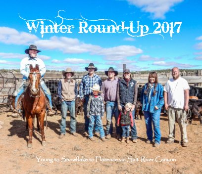 Winter Round-Up 2017 book cover