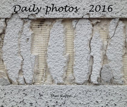 Daily-photos - 2016 book cover