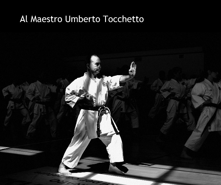 View Al Maestro Umberto Tocchetto by Massimo Bonifazi