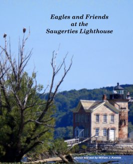 Eagles and Friends at the Saugerties Lighthouse book cover