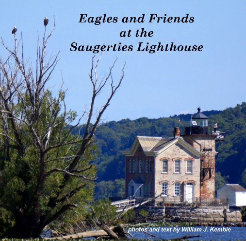 Ver Eagles and Friends at the Saugerties Lighthouse por William J. Kemble
