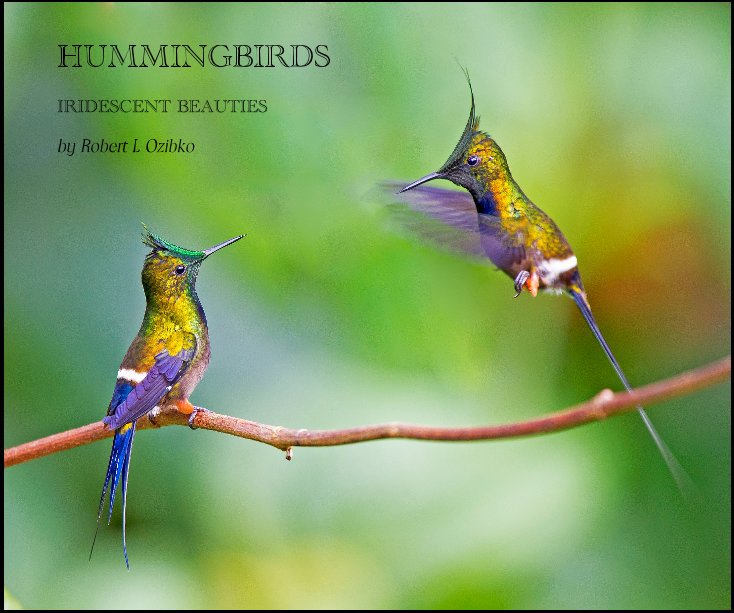 View HUMMINGBIRDS by Robert L Ozibko