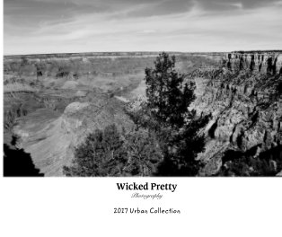 Wicked Pretty  Photography book cover