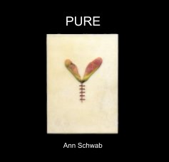 Ann Schwab  'PURE' book cover