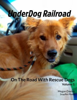 UnderDog Railroad book cover