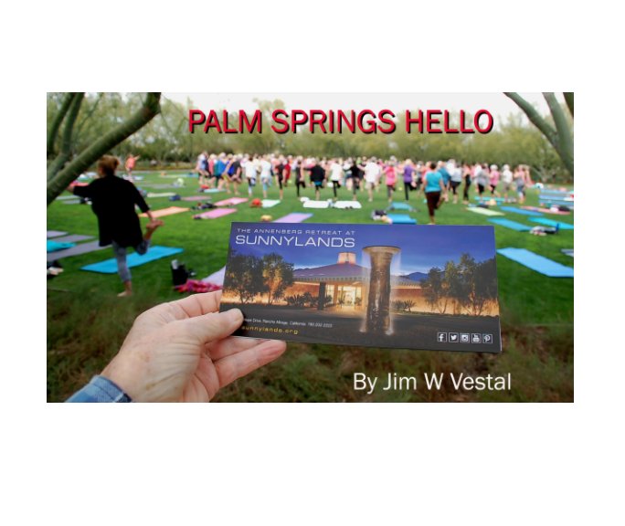 View Palm Springs Hello by Jim W Vestal