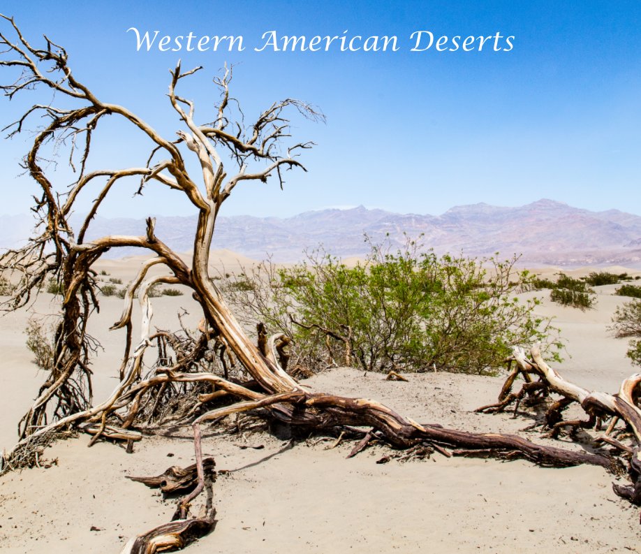 View Western American Deserts by Neil Kendall
