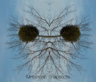 Mnemonic Snapshots book cover