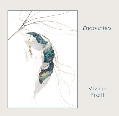 View Encounters by Vivian Pratt