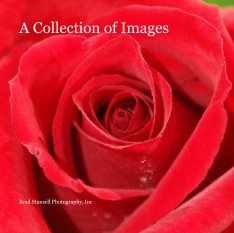 A Collection of Images book cover