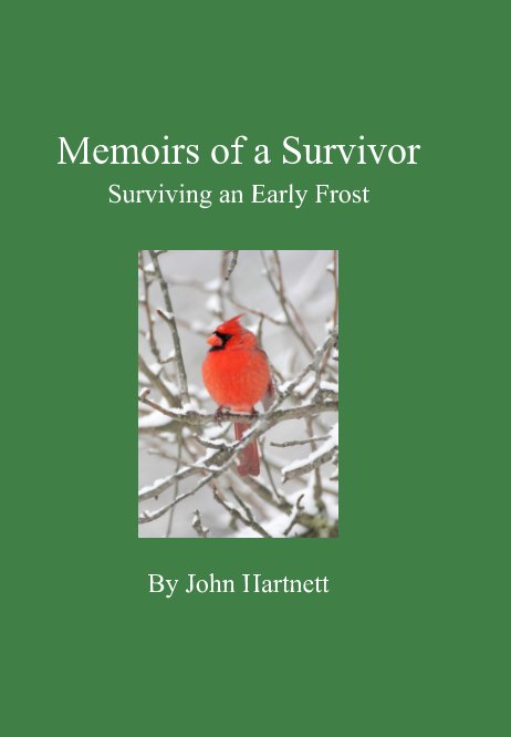 Memoirs of a Survivor nach John Hartnett anzeigen
