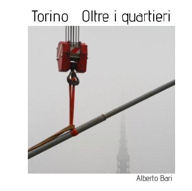 Torino Oltre i quartieri book cover