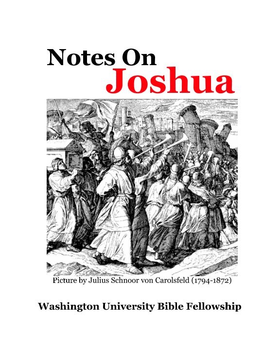 Visualizza Notes On Joshua di Elijah J. Park