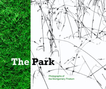 The Park book cover