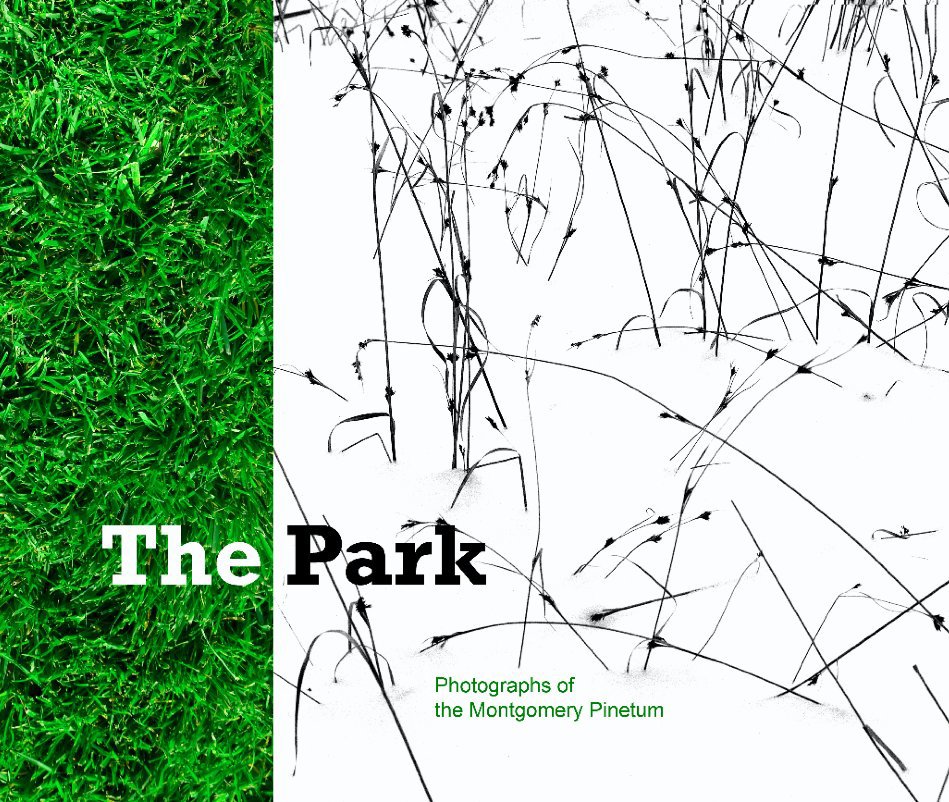 View The Park by Melissa O'Shaughnessy
