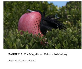 BARBUDA. The Magnificent Frigatebird Colony. book cover