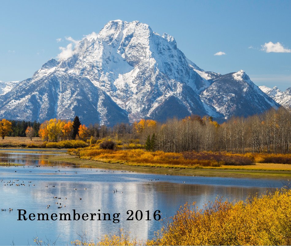 View Remembering 2016 by Art and Barbara Berggreen