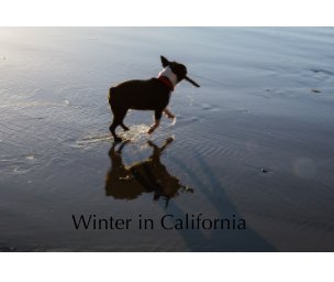 Winter in California book cover