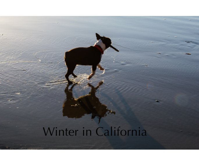 Ver Winter in California por Molly Weinstock