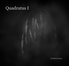 Quadratus I book cover