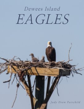 Eagles book cover