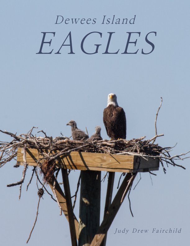 View Eagles by Judy Drew Fairchild