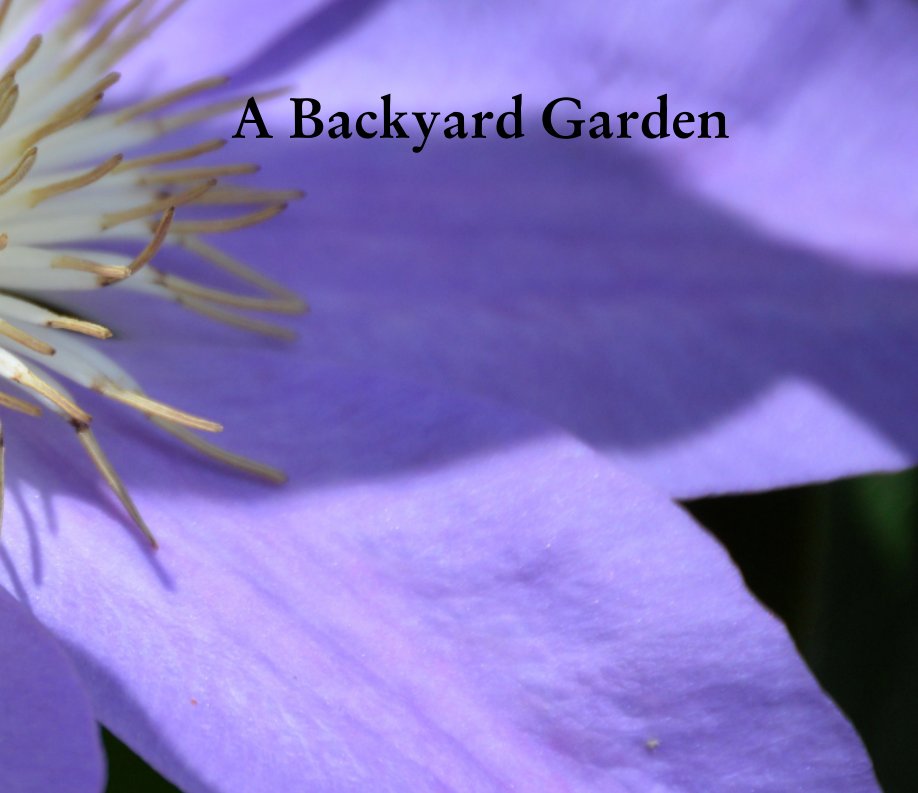 Ver A Backyard Garden por Nelson Rivera Berrios