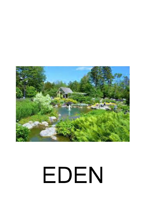 Visualizza Eden di Eduardo D. Merricks II