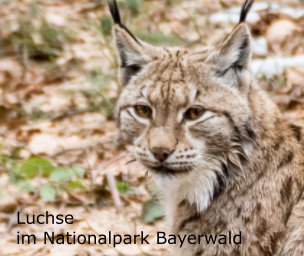 Luchse im Nationalpark Bayerwald book cover