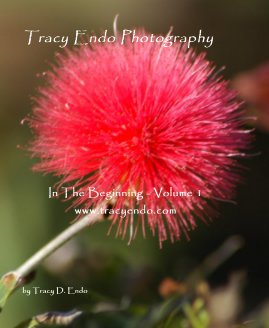 Tracy Endo Photography book cover