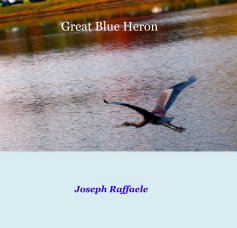 Great Blue Heron book cover
