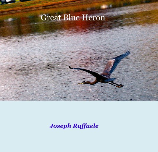 Bekijk Great Blue Heron op Joseph Raffaele