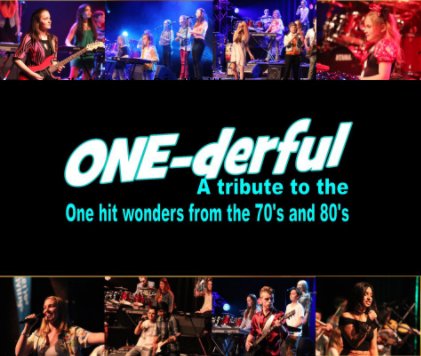 One-derful: A tribute to the One Hit Wonders book cover