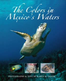 The Colors in Mexico's Waters book cover