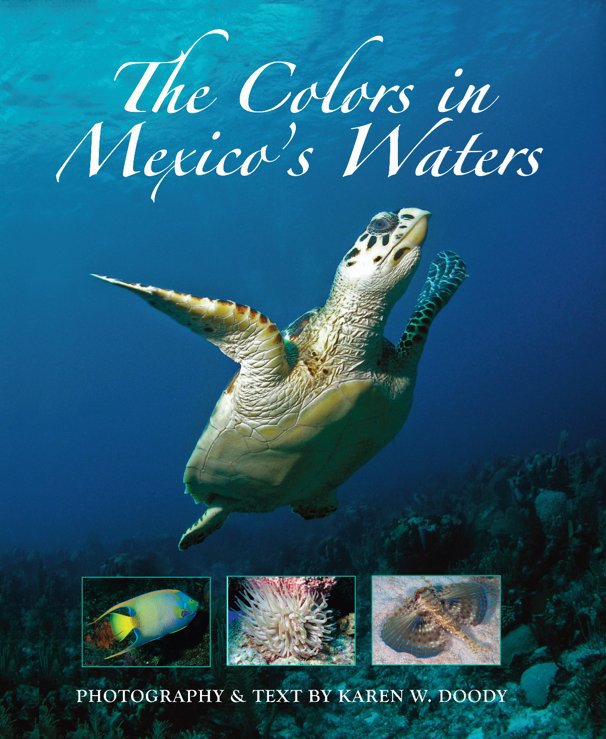Ver The Colors in Mexico's Waters por Karen W. Doody