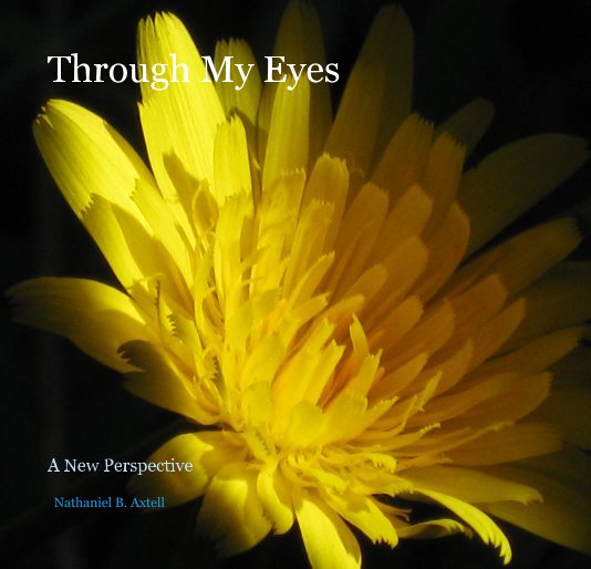 Ver Through My Eyes por Nathaniel B. Axtell