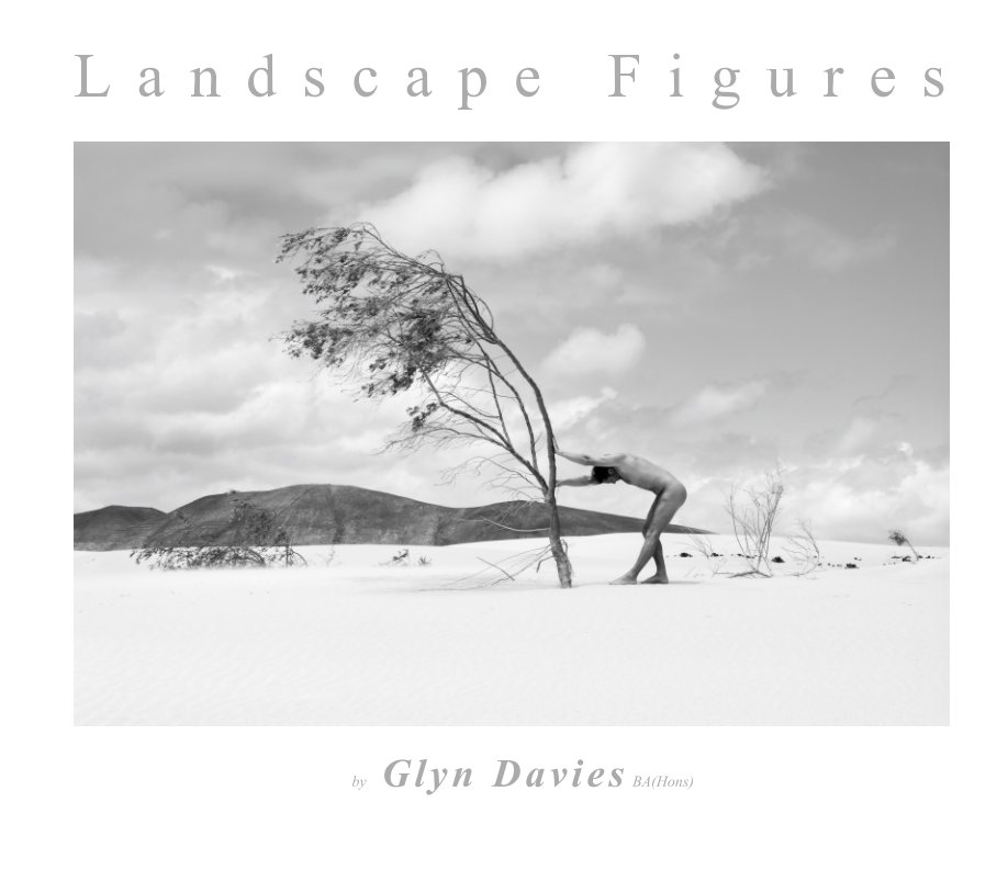 Bekijk Landscape Figures op Glyn Davies BA(Hons)