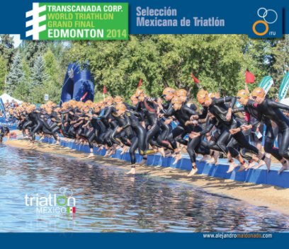 Carlos Gonzalez Villareal book cover