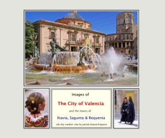 The City of Valencia book cover