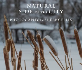 Natural Side of the City [hard cover] book cover