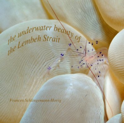 The underwater beauty of the Lembeh Strait book cover