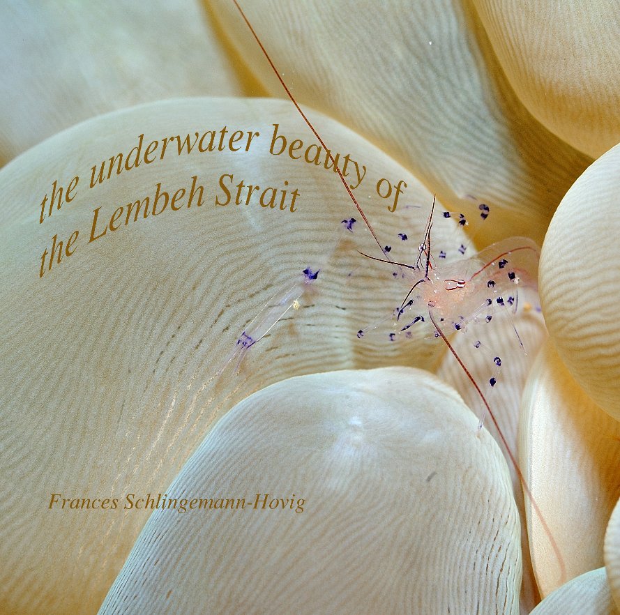 Bekijk The underwater beauty of the Lembeh Strait op Frances Schlingemann-Hovig