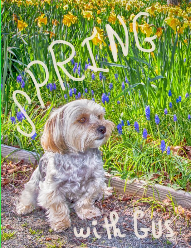 View SPRING with Gus by Anne Marie Leone