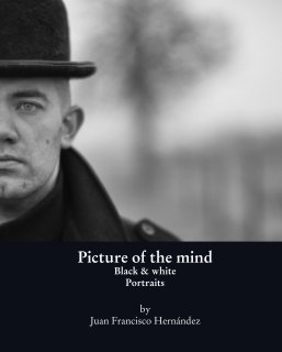 Picture of the mind book cover