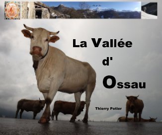 La vallée d' Ossau book cover