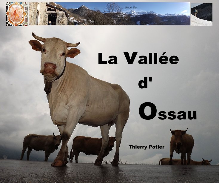 View La vallée d' Ossau by Thierry Potier
