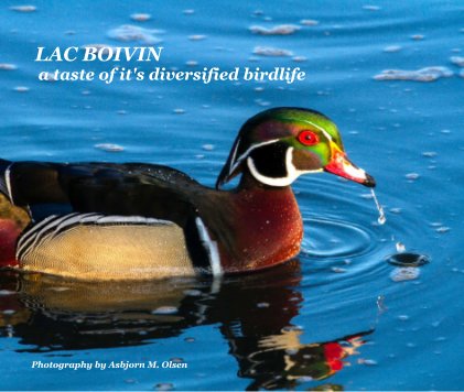 LAC BOIVIN a taste of it's diversified birdlife book cover